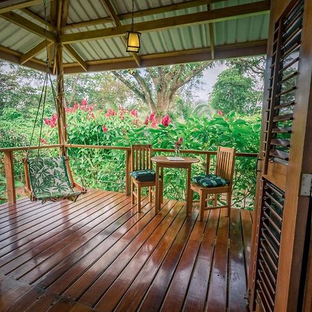 Hotel The Hummingbird à Bocas del Toro Extérieur photo