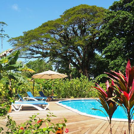 Hotel The Hummingbird à Bocas del Toro Extérieur photo