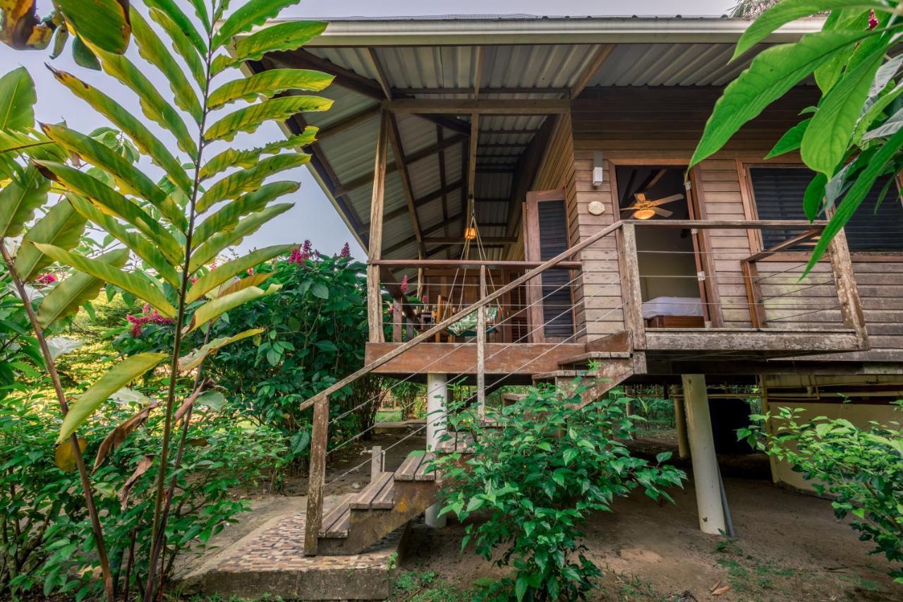 Hotel The Hummingbird à Bocas del Toro Extérieur photo