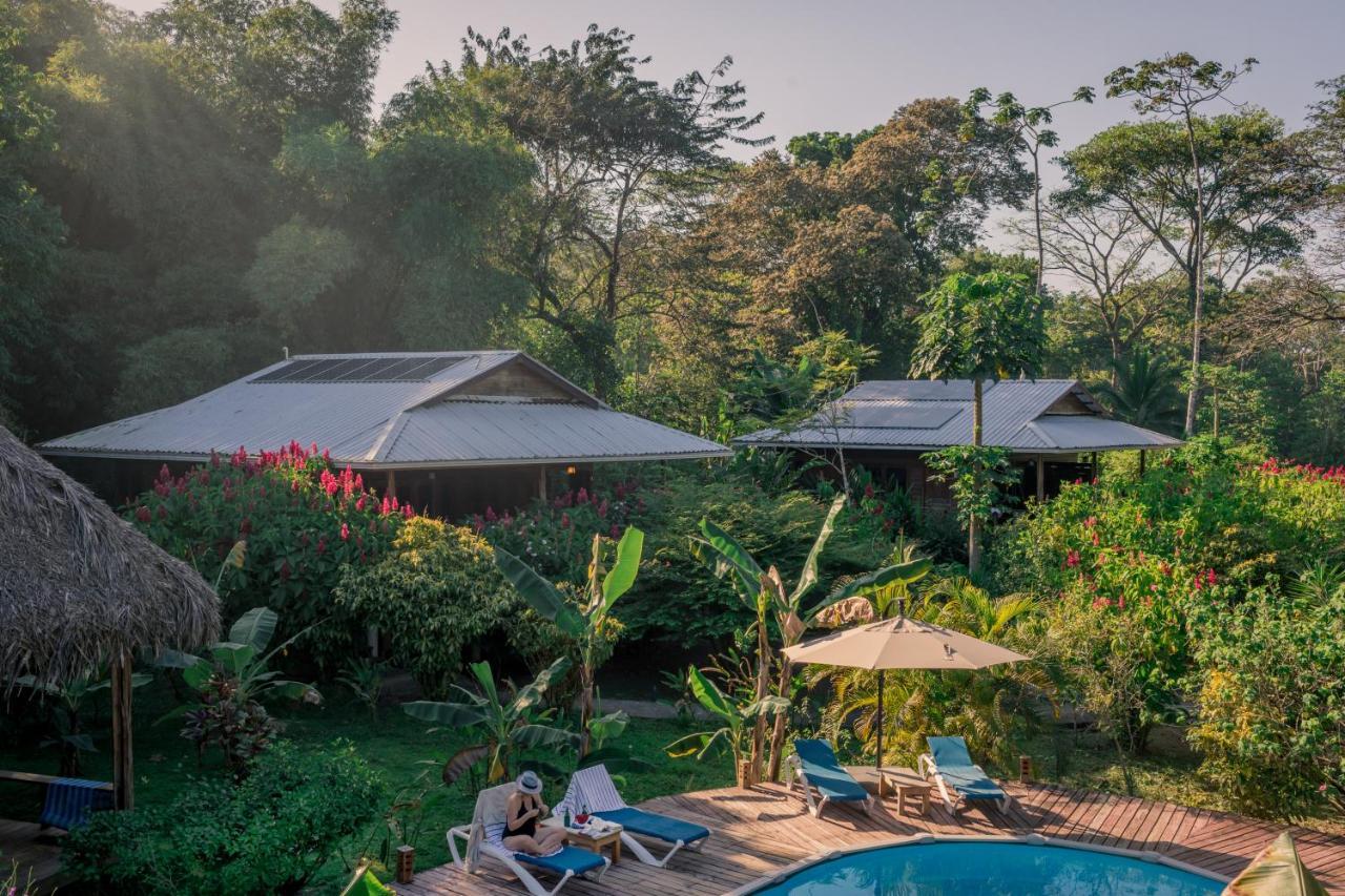 Hotel The Hummingbird à Bocas del Toro Extérieur photo