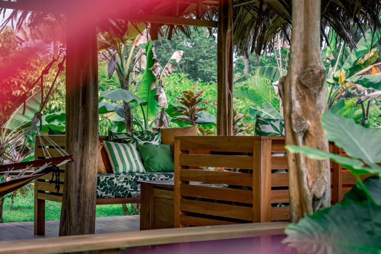 Hotel The Hummingbird à Bocas del Toro Extérieur photo