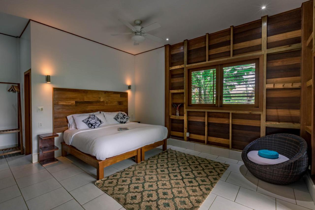 Hotel The Hummingbird à Bocas del Toro Extérieur photo