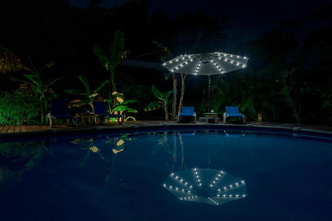 Hotel The Hummingbird à Bocas del Toro Extérieur photo