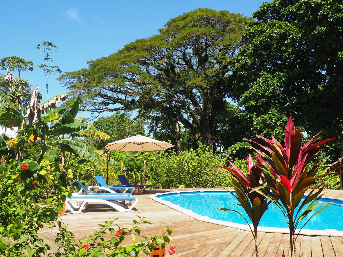 Hotel The Hummingbird à Bocas del Toro Extérieur photo