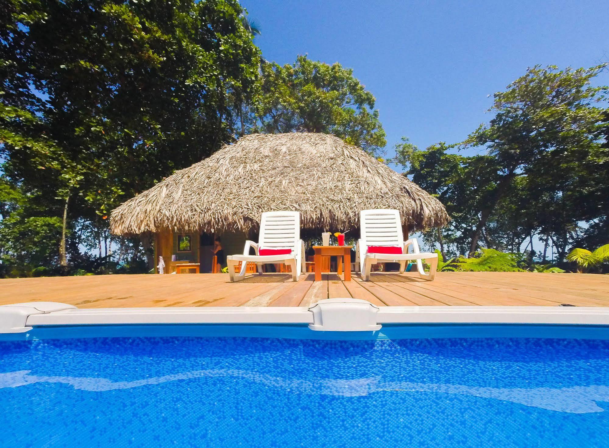 Hotel The Hummingbird à Bocas del Toro Extérieur photo