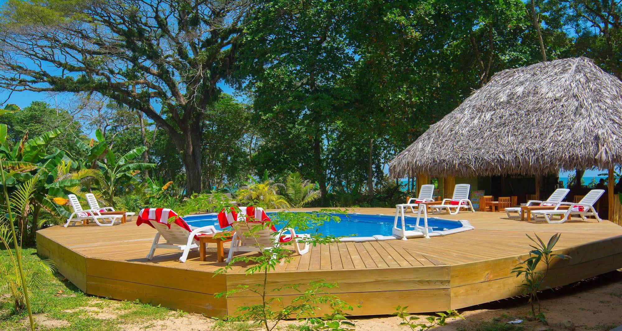Hotel The Hummingbird à Bocas del Toro Extérieur photo
