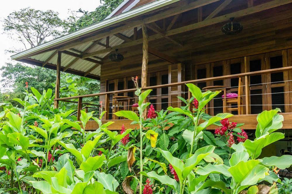 Hotel The Hummingbird à Bocas del Toro Extérieur photo