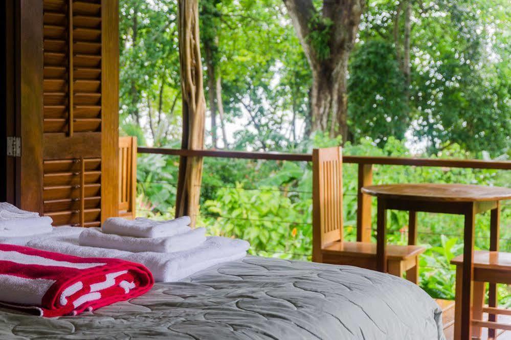 Hotel The Hummingbird à Bocas del Toro Extérieur photo
